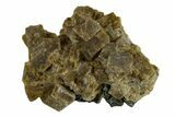 Siderite Crystals on Chalcopyrite - Peru #173411-1